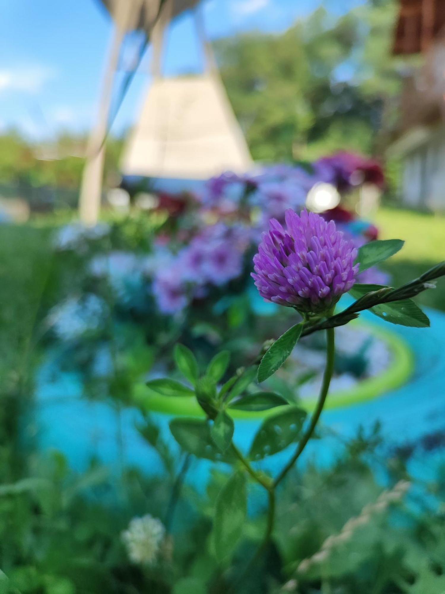 Happy Home Кэлимэнешти Экстерьер фото